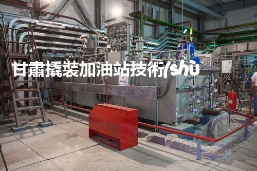 甘肅撬裝加油站技術(shù)革新：探索以后化工廠拆除的創(chuàng)新處理方案！